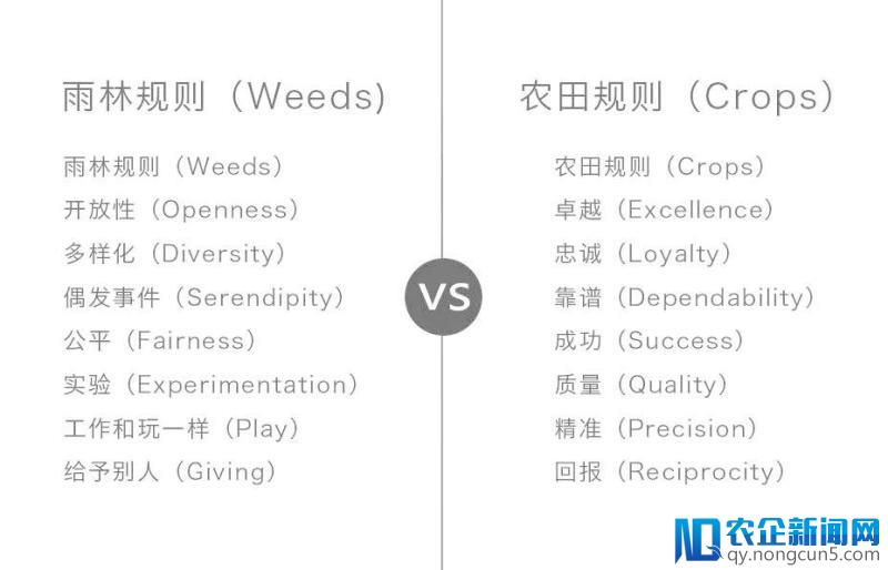 硅谷创新的“雨林法则”