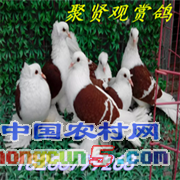 0_shan101116160254 - 副本_副本_副本