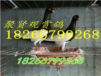 微信圖片_20170414112954 - 副本