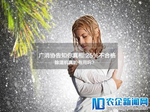 除湿机真的有用吗？消协评测报告称25%不合格