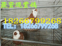 314631180733695931_副本