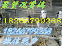 717163946844234681_副本
