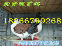 微信圖片_20170401081307