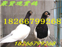 125-140F4111140-51 - 副本