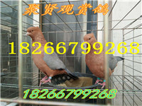 838718473902085971 - 副本