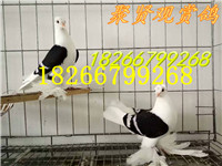 微信圖片_20180321151021_副本