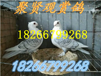 微信圖片_20180321151003_副本
