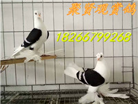 微信圖片_20180321151021_副本