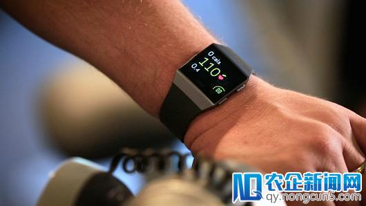 Fitbit股票评级目标价均遭大摩下调 早盘股价跌逾9%