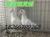 771968105090428526_副本