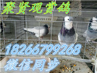 717163946844234681_副本