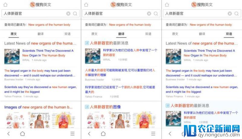 科学家发现人体新器官“间质组织”？ 来搜狗英文搜索看外媒怎么说