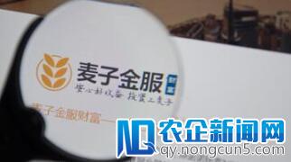 麦子金服员工再爆料，成交6亿，放款仅3亿