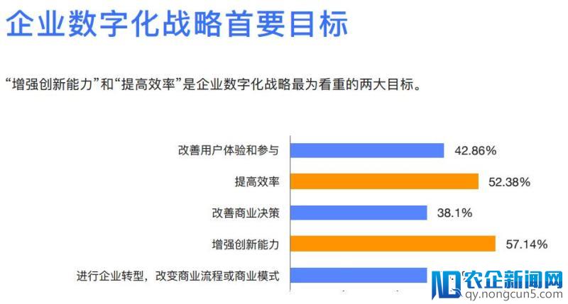 网易云报告详解：企业数字化转型痛点在哪？