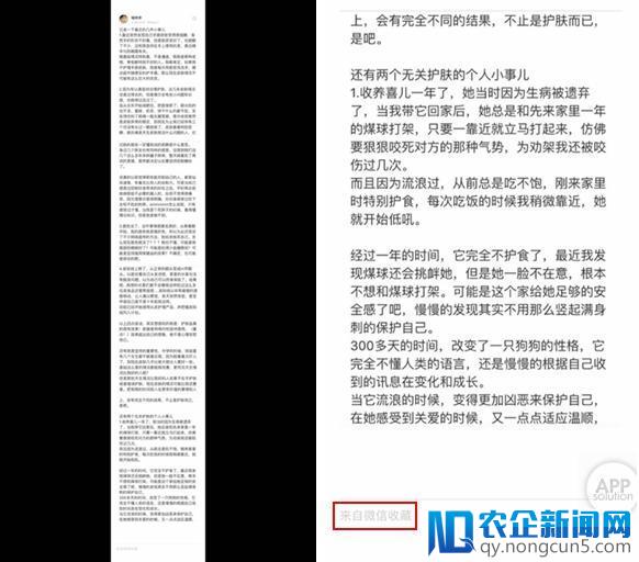 微信自带「长截图」功能，你发现了吗？