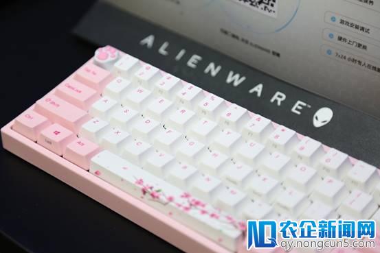 进攻线下，阿米洛进驻alienware外星人旗舰店