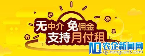 有了“神奇的网站”之后，巴乐兔为何还能异军突起？