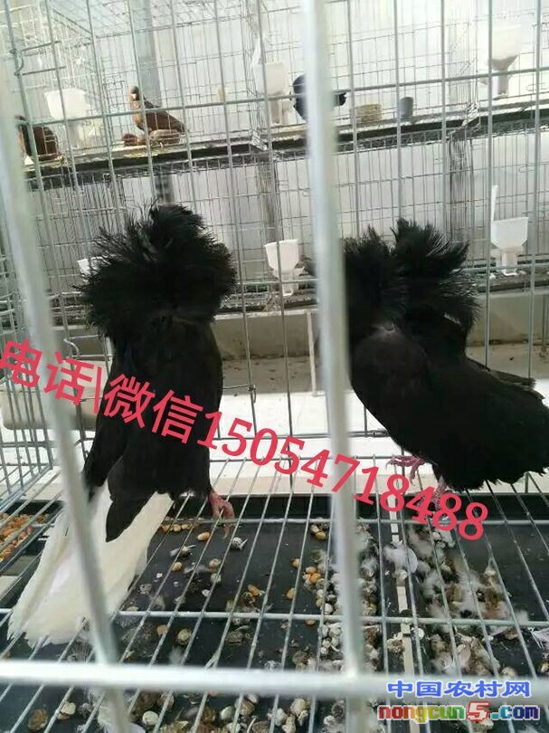 QQ圖片20160630171928