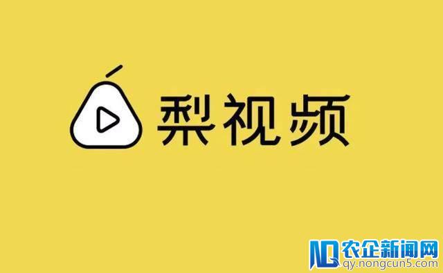 短视频遭遇最严整改浪潮后，百度入股梨视频带来了哪些新启示？