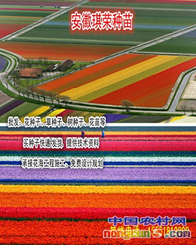 內(nèi)容琪榮1__副本