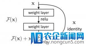 一文简述ResNet及其多种变体