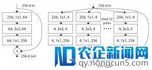 一文简述ResNet及其多种变体