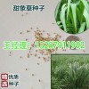 重慶黑麥草種子銷售點(diǎn)