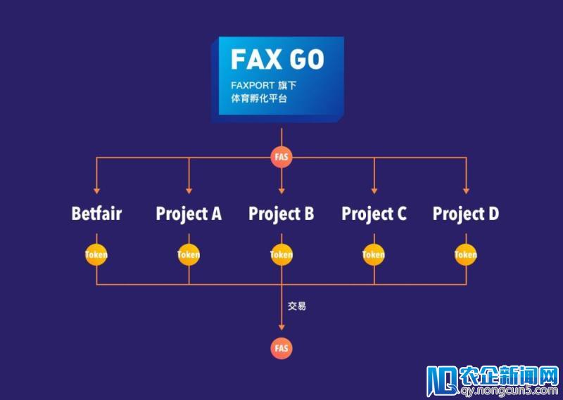 一次区块链的真正落地，Faxport让体育投资触手可及