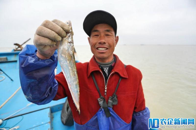 吃条刀鱼要花一个月工资？“长江第一鲜”现在和新零售发生了交集-天下网商-赋能网商，成就网商