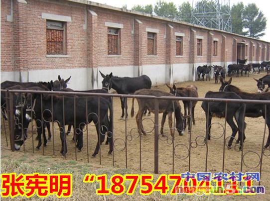 1_121217144348_1_副本