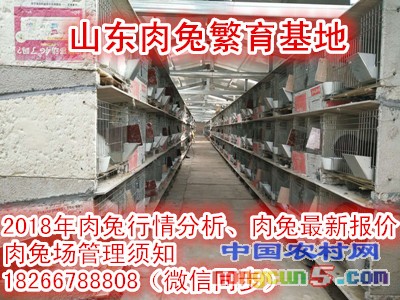 微信圖片_20180402101942_副本