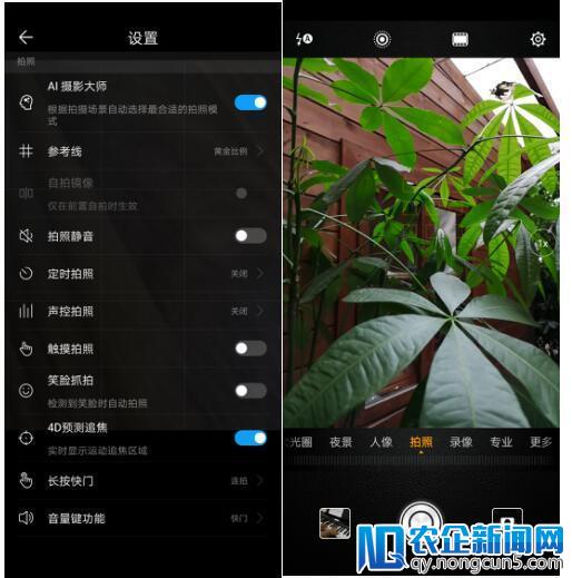 带上华为P20 Pro 出游“打鸟”既轻便又专业