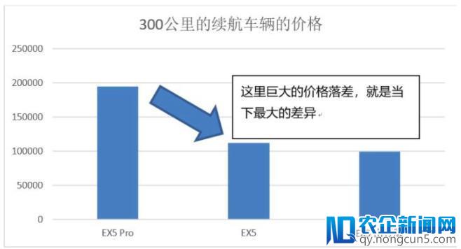 如何看待威马的价格定位11万出头？