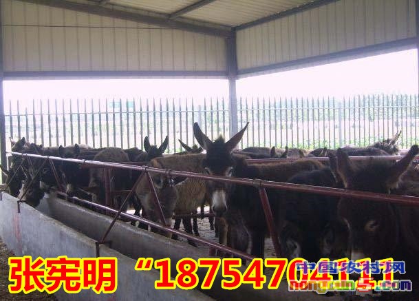 _14001360446162_副本