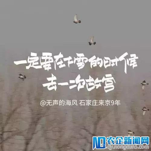 杜蕾斯给“漂族”们写了一封情书