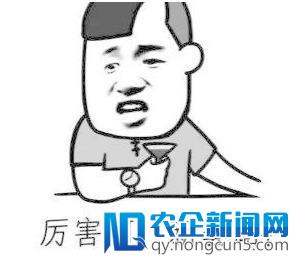 黑客盯上代币漏洞：道上的兄弟早就看不惯这些暴发户了！