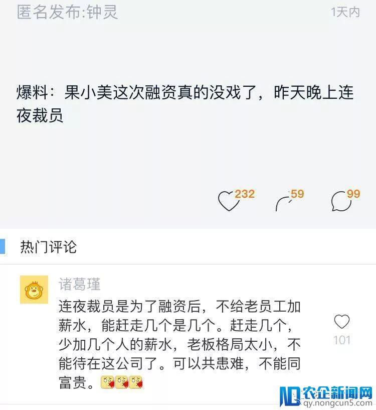 网传果小美融资没戏，近日连夜裁员？