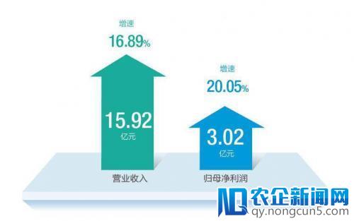 厨电行业发展遭遇寒冬，老板电器保持稳步增长