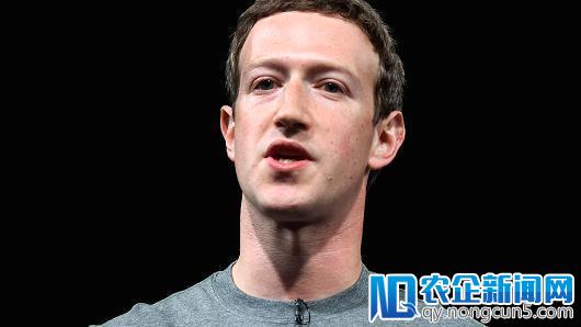 Facebook一季度北美用户环比恢复增长 数据丑闻影响不大