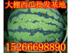 山東西瓜產(chǎn)地 山東西瓜大量上市