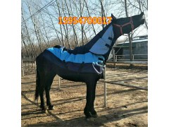 出售馬匹價(jià)格 可以騎的真馬 伊犁馬蒙古馬旅游區(qū)用馬