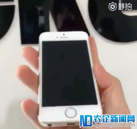 iPhone SE2 真机曝光：玻璃机身，有耳机孔