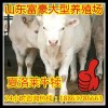 肉牛養(yǎng)殖大縣