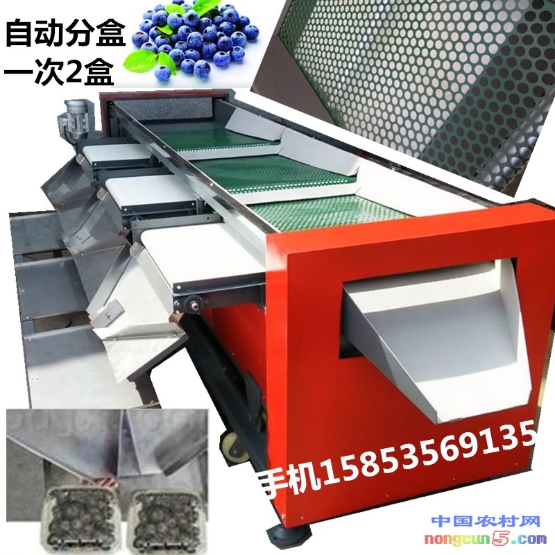 包裝盒藍莓選果機5電話1