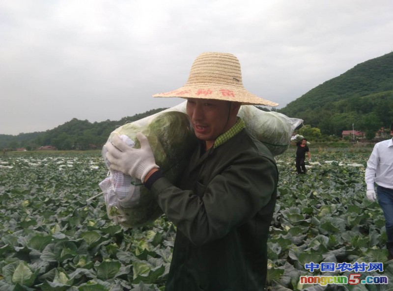 微信圖片_20180503082209