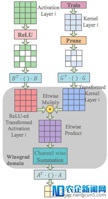 斯坦福ICLR 2018录用论文：高效稀疏Winograd卷积神经网络