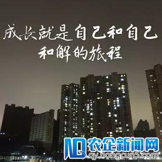 滴滴打人事件伤者发声：与人和解，亦是与己和解