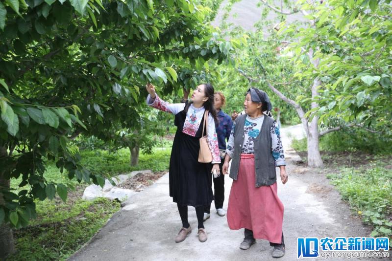 汶川地震它救过我们的命，十年后我们让全国人民爱上它-天下网商-赋能网商，成就网商