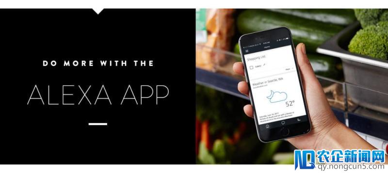 亚马逊的智能语音生态系统：Alexa 应用要付费，开发者可获分成
