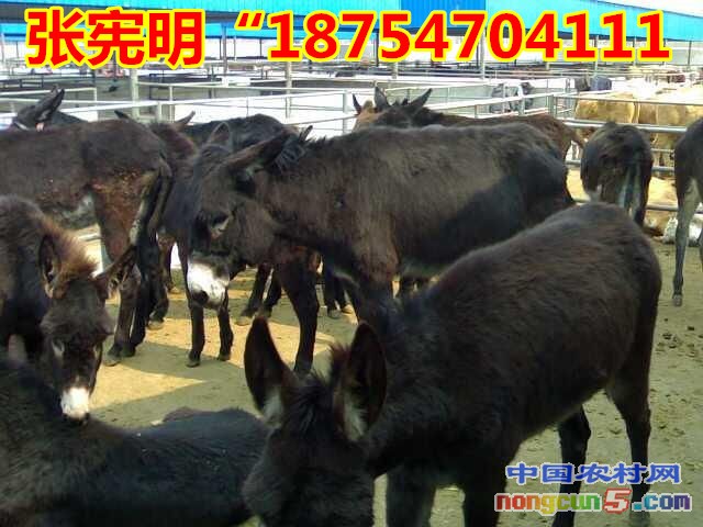 201336163139_副本